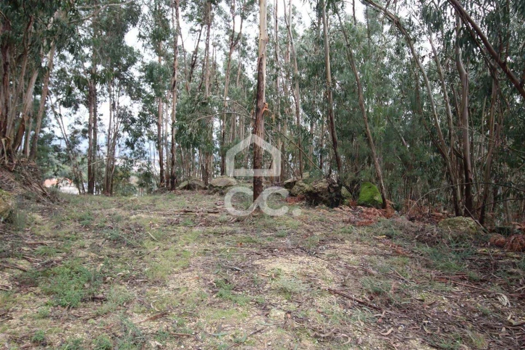 Quinta para Venda em Nespereira Foto 7