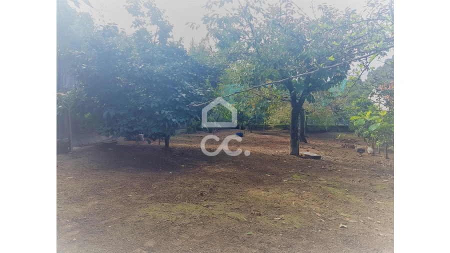 Terreno para Venda em Vila do Conde Foto 4
