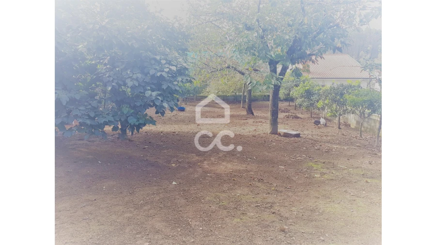 Terreno para Venda em Vila do Conde Foto 5