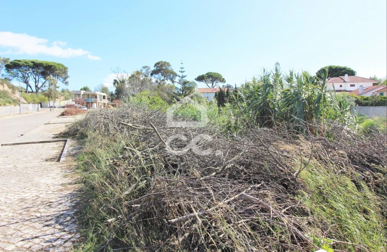 Terreno para Venda em Caparica e Trafaria Foto 5