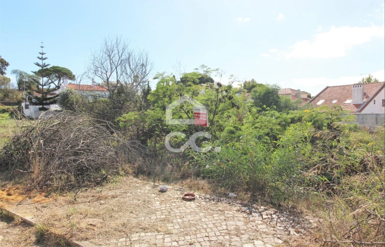 Terreno para Venda em Caparica e Trafaria Foto 4