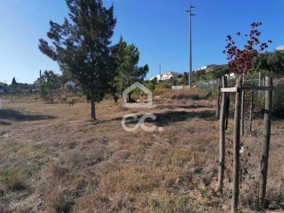 Terreno para Venda em Santa Maria, São Pedro e Matacães Foto 9