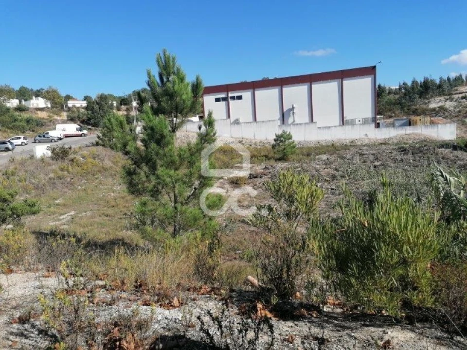 Terreno para Venda em Santa Maria, São Pedro e Matacães Foto 4