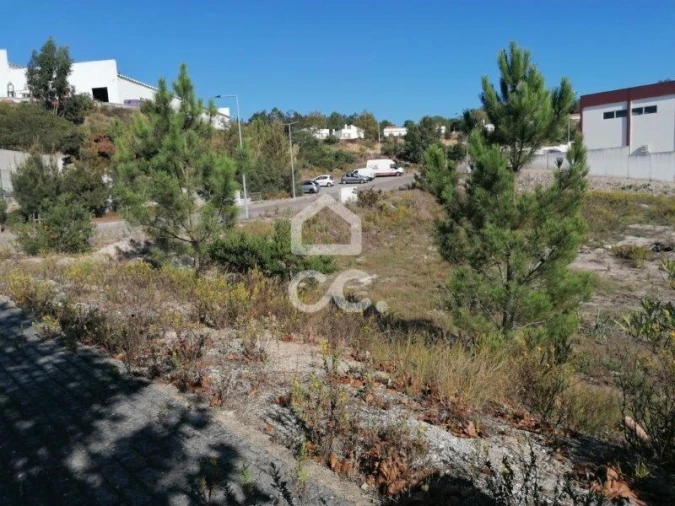 Terreno para Venda em Santa Maria, São Pedro e Matacães Foto 3