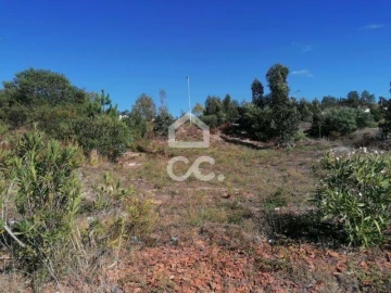 Terreno para Venda em Santa Maria, São Pedro e Matacães