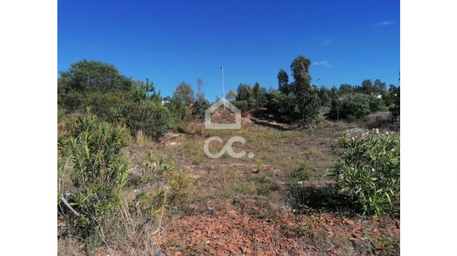 Terreno para Venda em Santa Maria, São Pedro e Matacães Foto 6