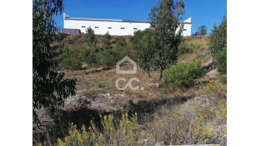 Terreno para Venda em Santa Maria, São Pedro e Matacães Foto 3