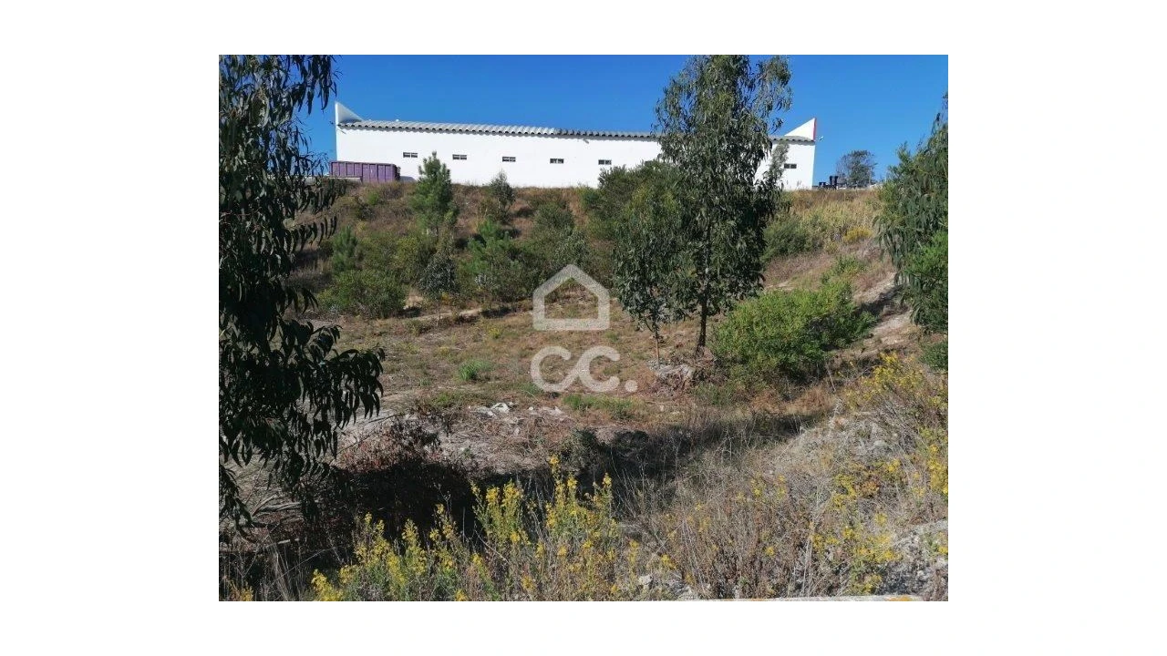 Terreno para Venda em Santa Maria, São Pedro e Matacães Foto 3