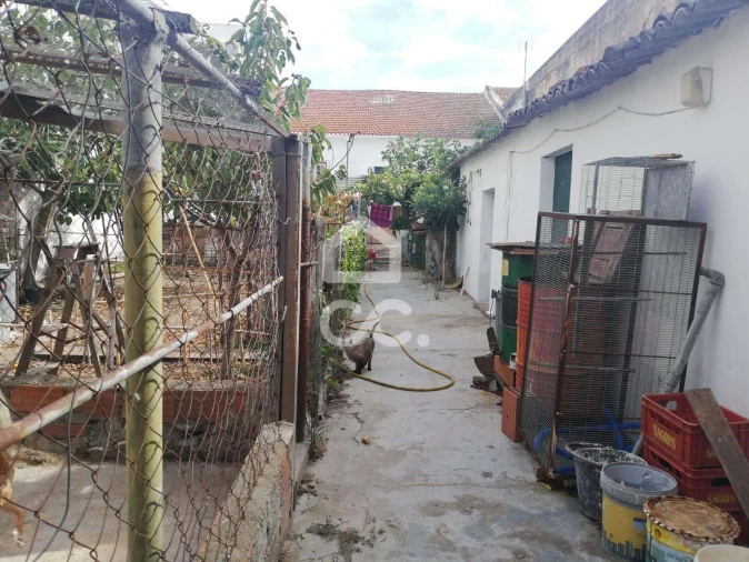 Moradia T3 para Venda em Beja (Santiago Maior e São João Baptista) Foto 26