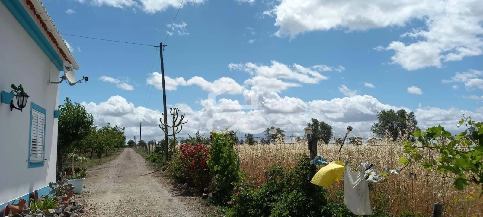 Quinta T3 para Venda em Beja (Santiago Maior e São João Baptista) Foto 27