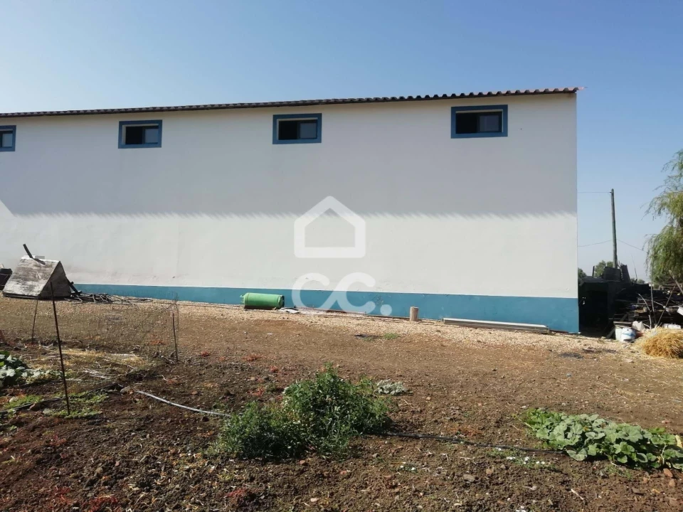 Quinta T3 para Venda em Beja (Santiago Maior e São João Baptista) Foto 18