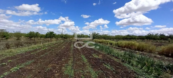 Quinta T3 para Venda em Beja (Santiago Maior e São João Baptista)