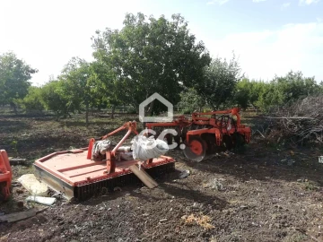 Quinta T3 para Venda em Beja (Santiago Maior e São João Baptista)