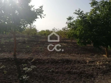 Quinta T3 para Venda em Beja (Santiago Maior e São João Baptista)