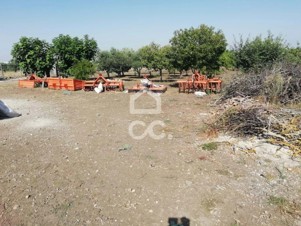 Quinta T3 para Venda em Beja (Santiago Maior e São João Baptista) Foto 20