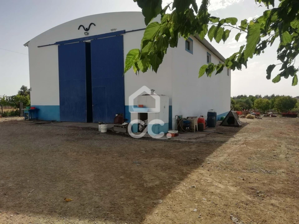 Quinta T3 para Venda em Beja (Santiago Maior e São João Baptista) Foto 3