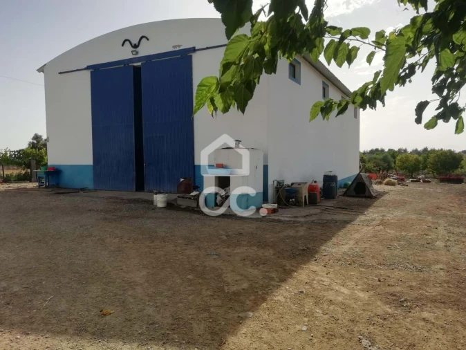 Quinta T3 para Venda em Beja (Santiago Maior e São João Baptista) Foto 3