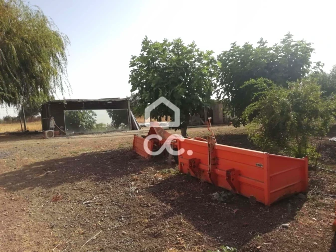 Quinta T3 para Venda em Beja (Santiago Maior e São João Baptista) Foto 21