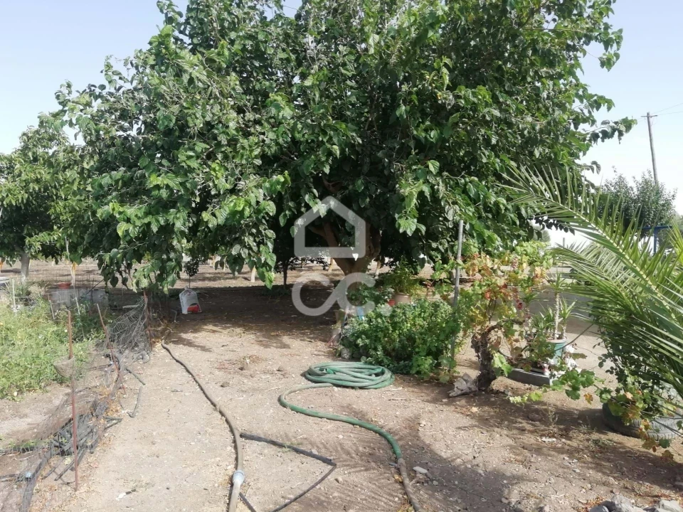 Quinta T3 para Venda em Beja (Santiago Maior e São João Baptista) Foto 24