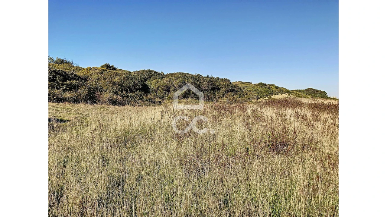 Terreno para Venda em Tornada e Salir do Porto Foto 9