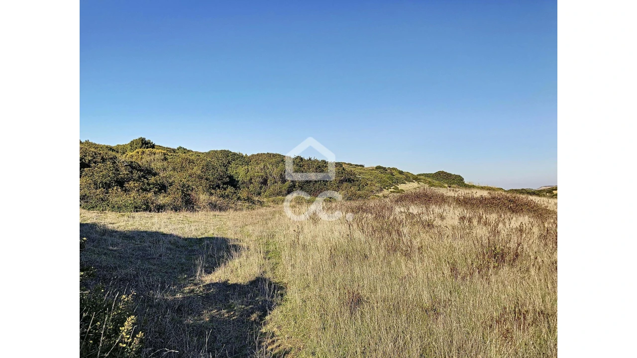 Terreno para Venda em Tornada e Salir do Porto Foto 7