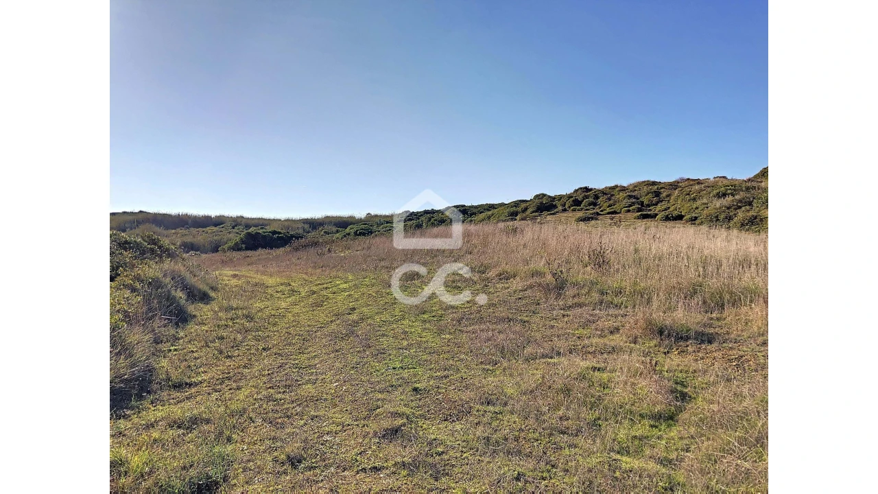 Terreno para Venda em Tornada e Salir do Porto Foto 4