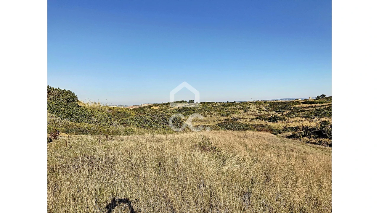 Terreno para Venda em Tornada e Salir do Porto Foto 3