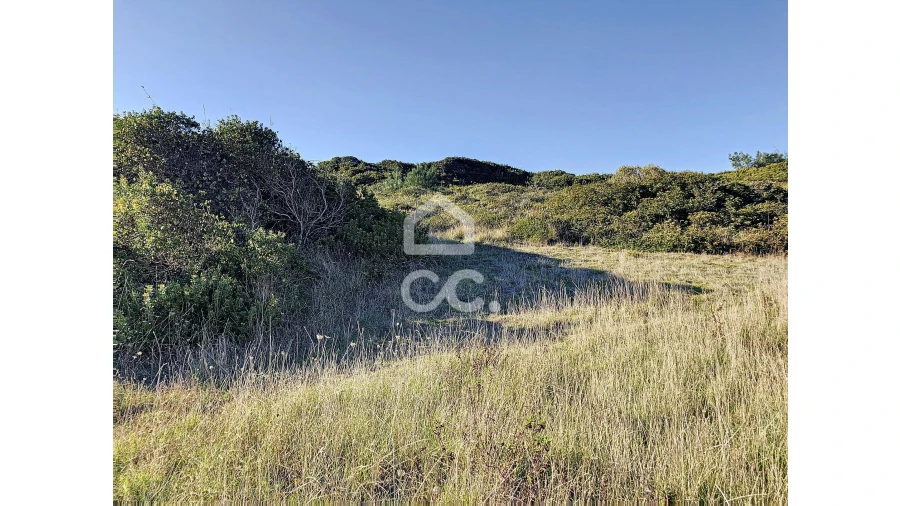 Terreno para Venda em Tornada e Salir do Porto Foto 8
