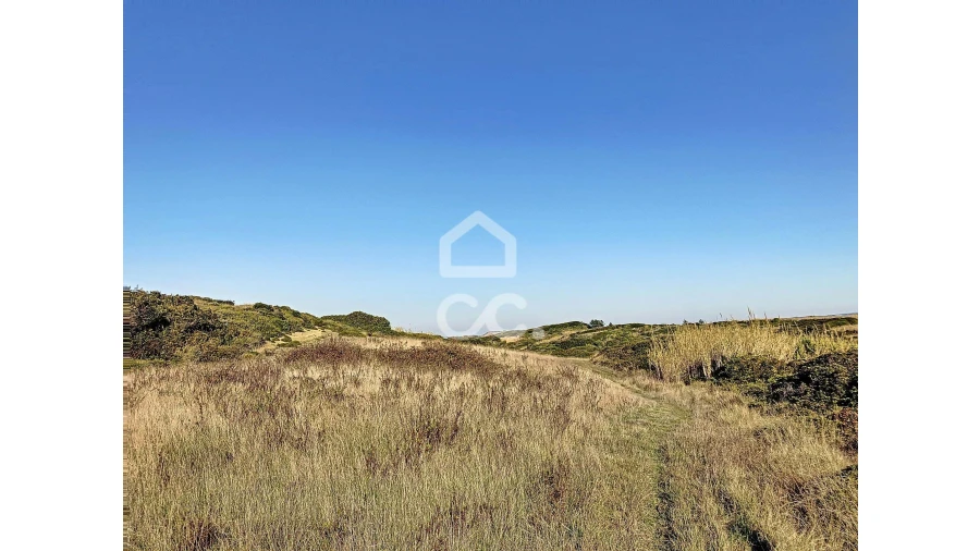 Terreno para Venda em Tornada e Salir do Porto Foto 6