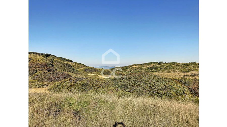 Terreno para Venda em Tornada e Salir do Porto Foto 1