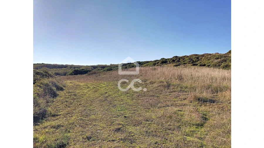 Terreno para Venda em Tornada e Salir do Porto Foto 4