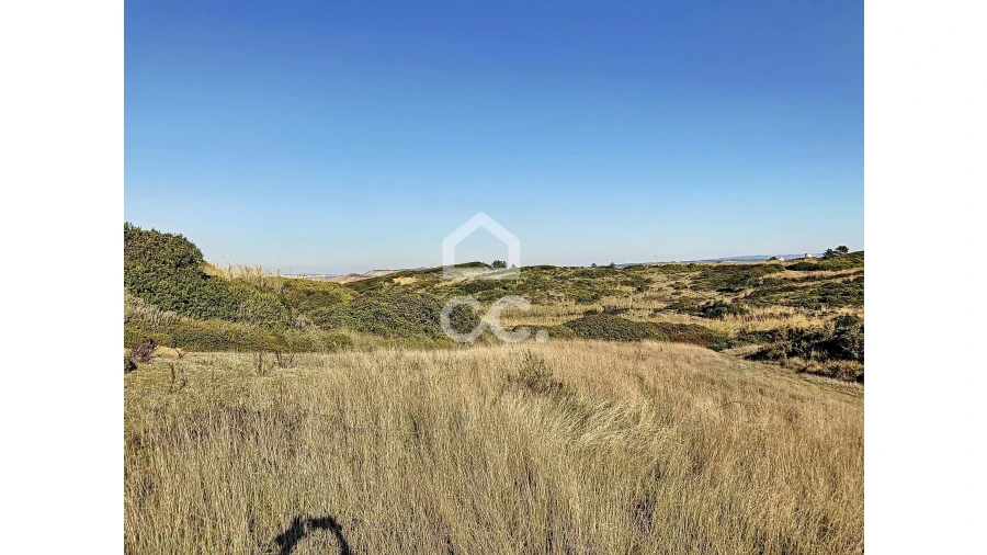 Terreno para Venda em Tornada e Salir do Porto Foto 3