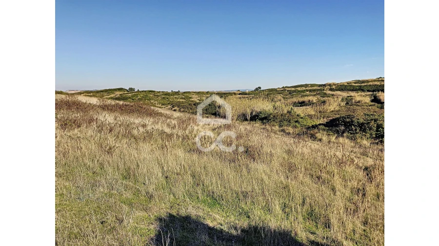 Terreno para Venda em Tornada e Salir do Porto Foto 10