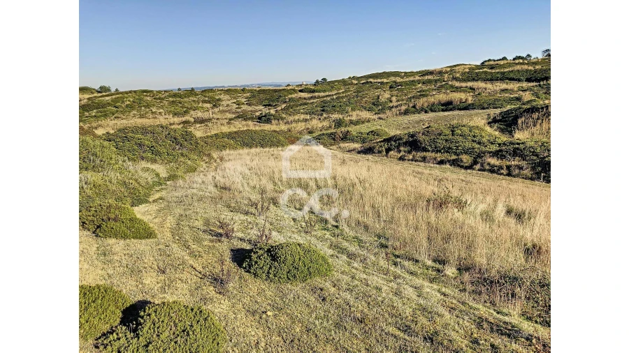 Terreno para Venda em Tornada e Salir do Porto Foto 2
