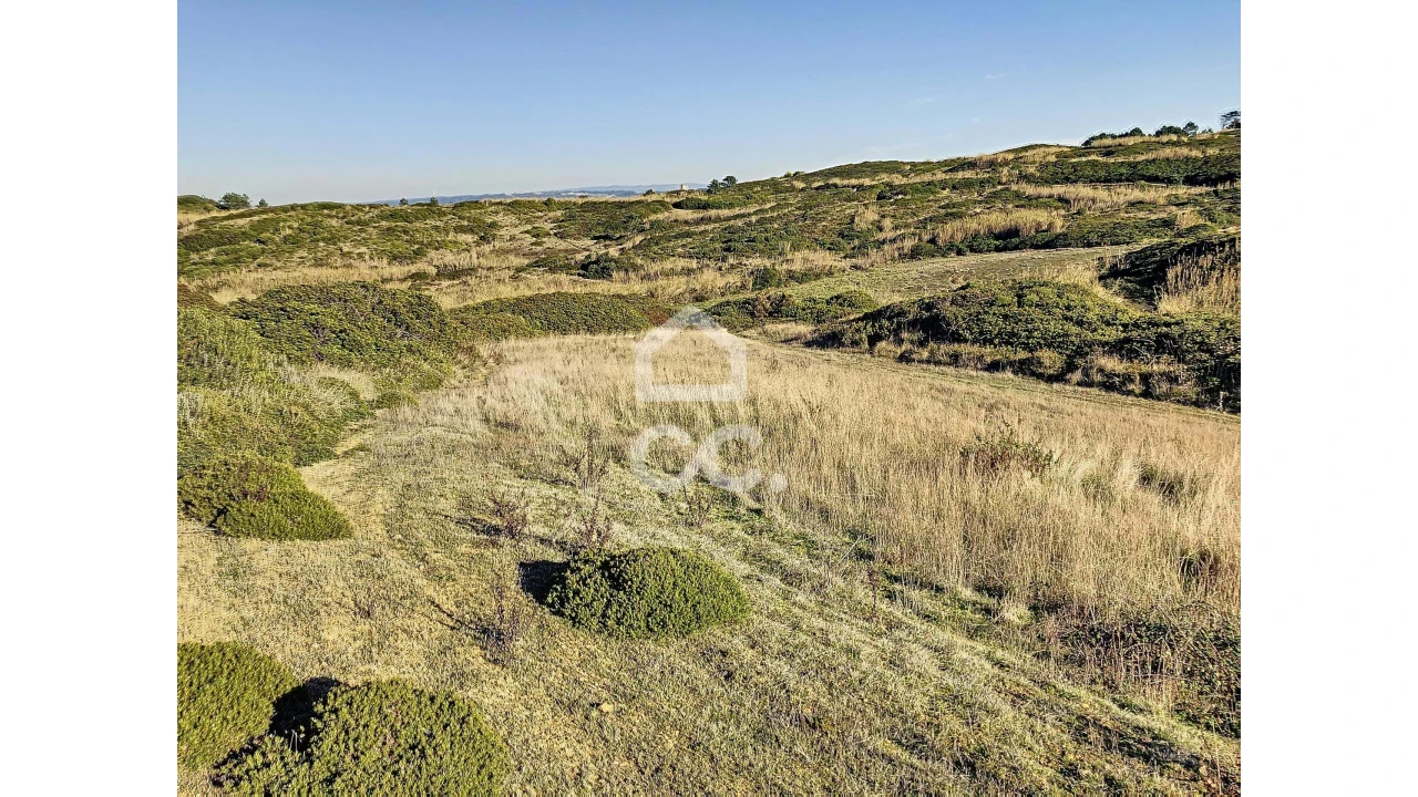 Terreno para Venda em Tornada e Salir do Porto Foto 2