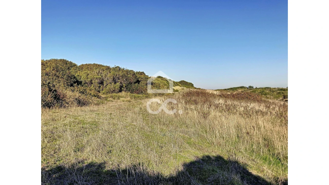 Terreno para Venda em Tornada e Salir do Porto Foto 11