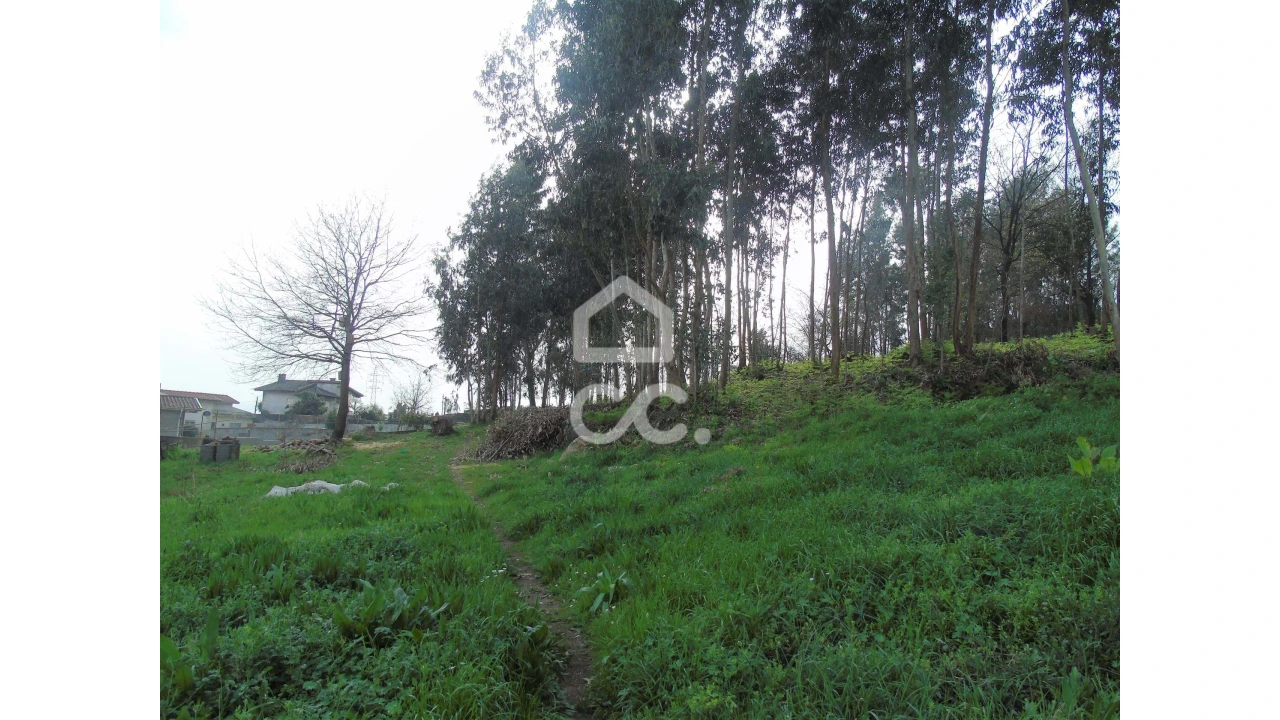 Terreno para Venda em Pedome Foto 1