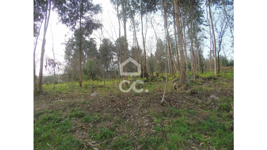 Terreno para Venda em Pedome Foto 4