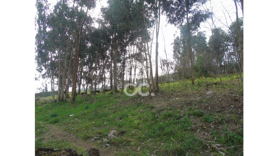 Terreno para Venda em Pedome Foto 5