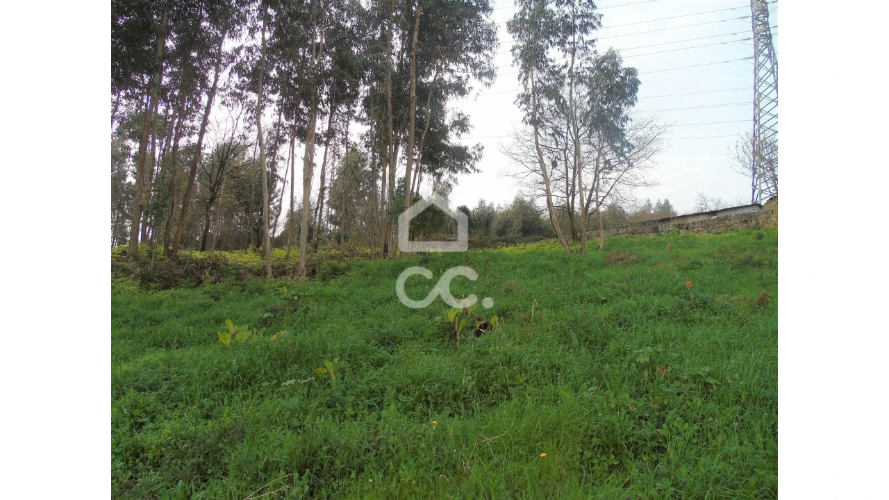 Terreno para Venda em Pedome Foto 3