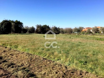 Terreno para Venda em Povolide