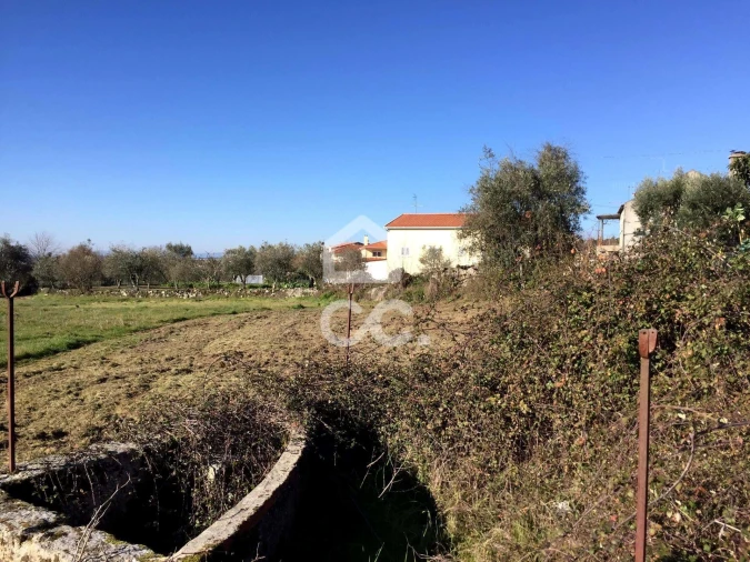 Terreno para Venda em Povolide Foto 11