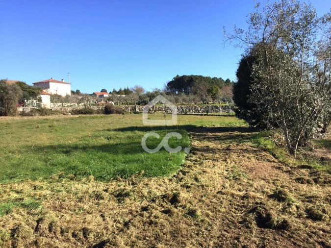 Terreno para Venda em Povolide Foto 20