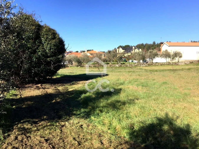 Terreno para Venda em Povolide Foto 13