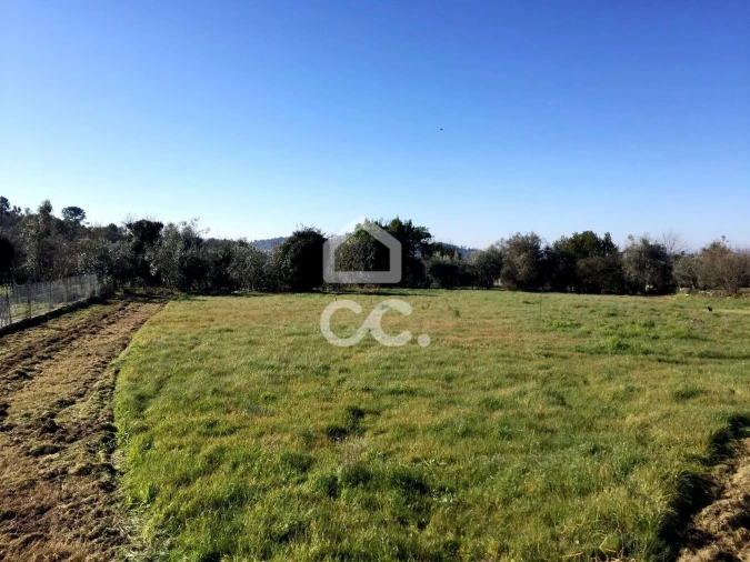 Terreno para Venda em Povolide Foto 4