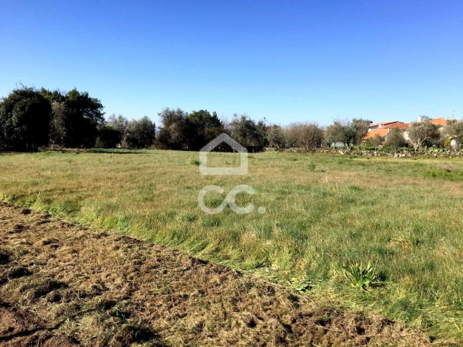 Terreno para Venda em Povolide Foto 15