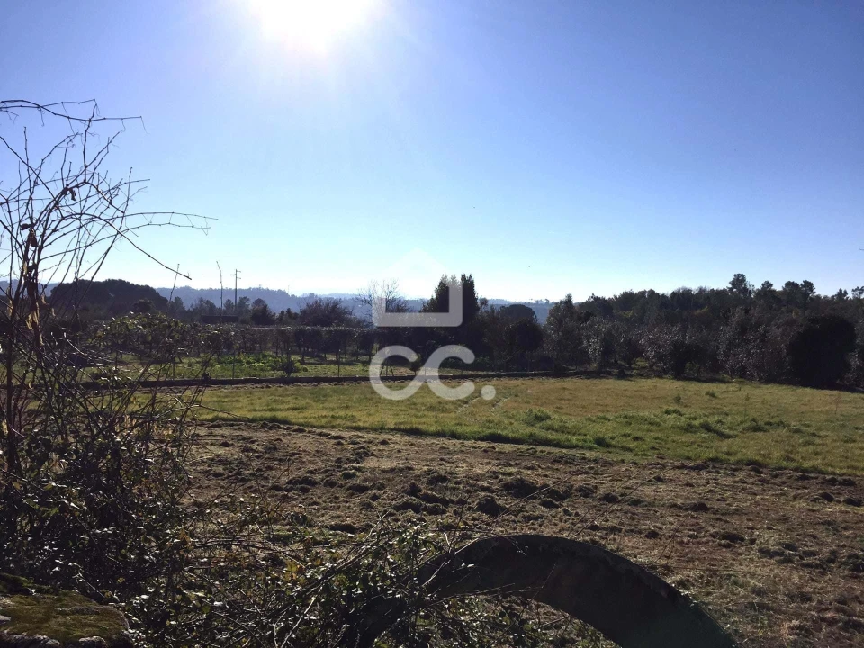 Terreno para Venda em Povolide Foto 21