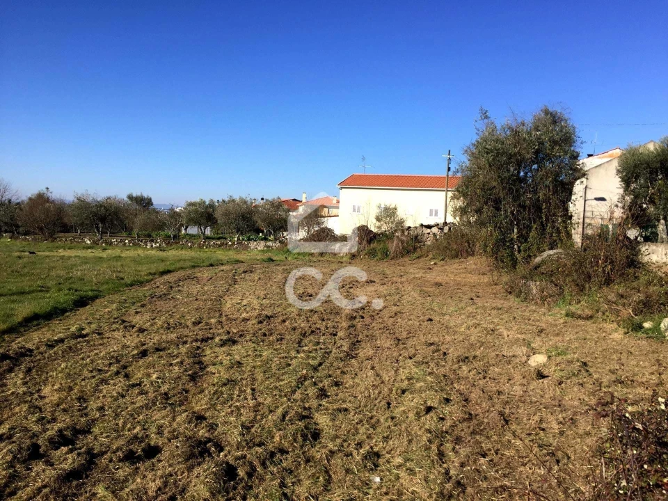 Terreno para Venda em Povolide Foto 14