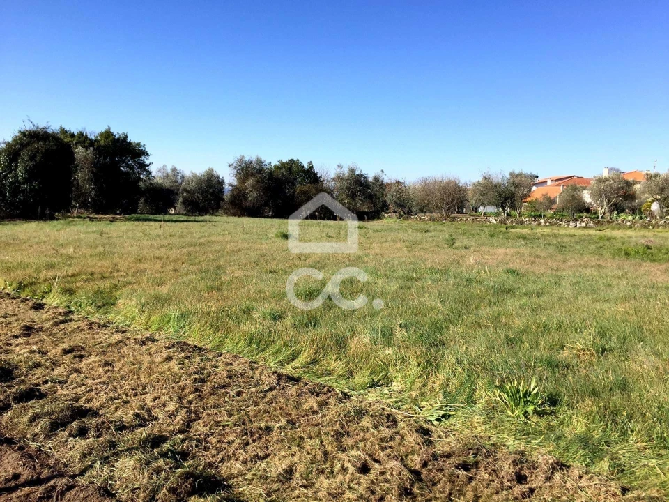 Terreno para Venda em Povolide Foto 15