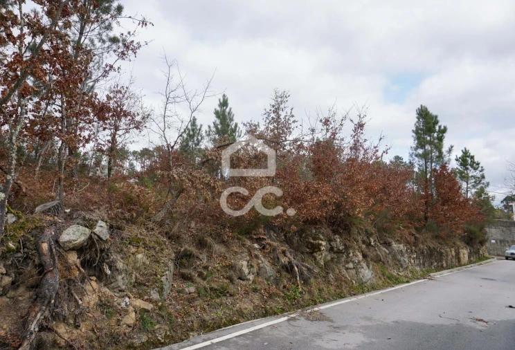 Terreno para Venda em Calde Foto 5